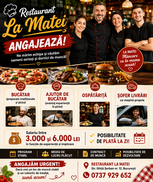 Bucatareasa, ospatarita, sofer cu masina,