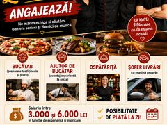 Bucatareasa, ospatarita, sofer cu masina