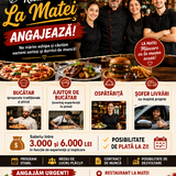 Bucatareasa, ospatarita, sofer cu masina